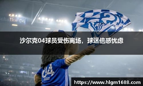 沙尔克04球员受伤离场，球迷倍感忧虑
