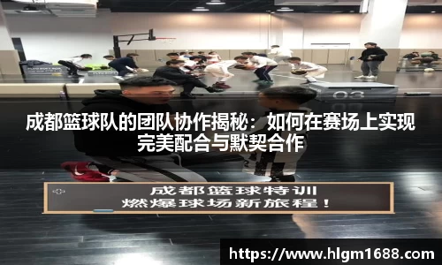 成都篮球队的团队协作揭秘：如何在赛场上实现完美配合与默契合作