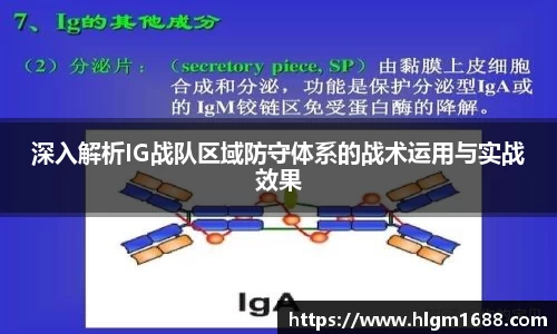 深入解析IG战队区域防守体系的战术运用与实战效果